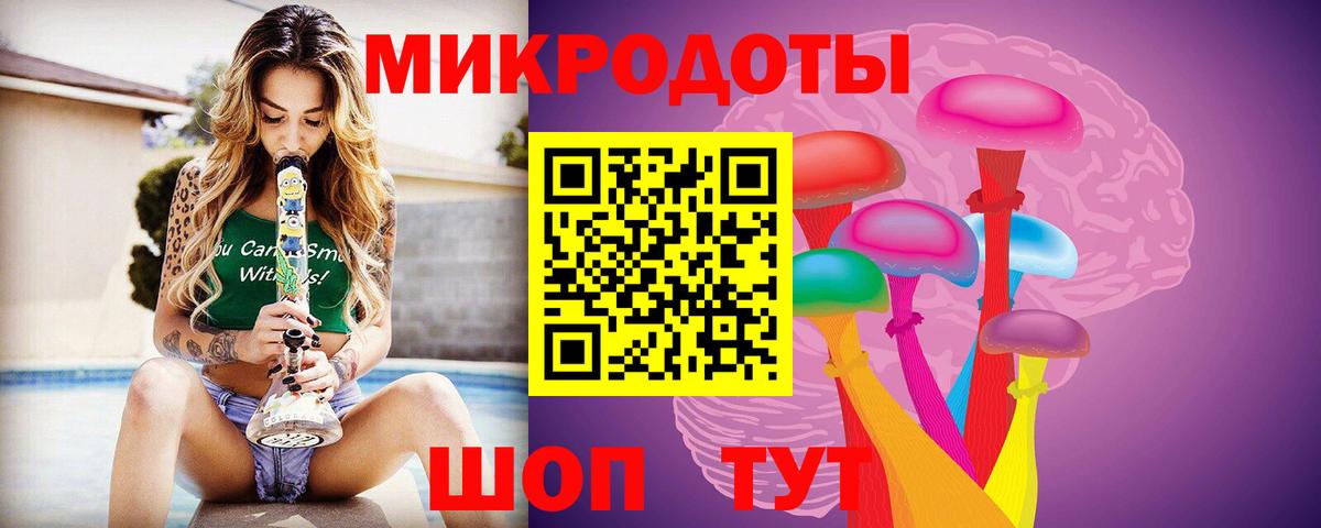 Галлюциногенные грибы Psilocybine cubensis Людиново