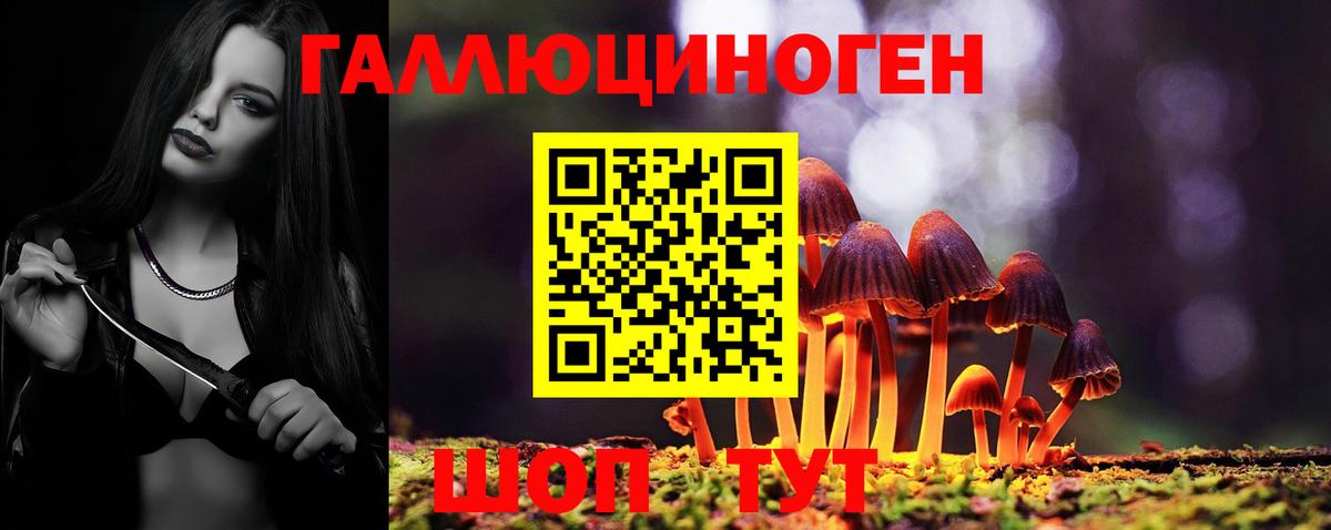 Людиново  Псилоцибиновые грибы мицелий  что такое наркотик  Вход с VPN 